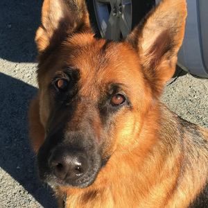 Meet your Posher, Karen